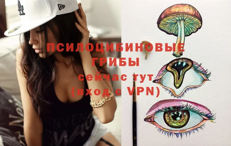 Галлюциногенные грибы Magic Shrooms  Алагир 